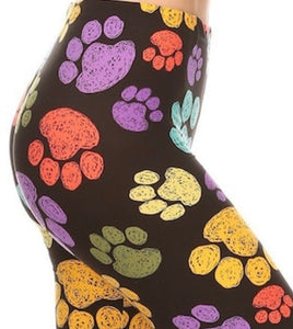 Colorful Paws PLUS